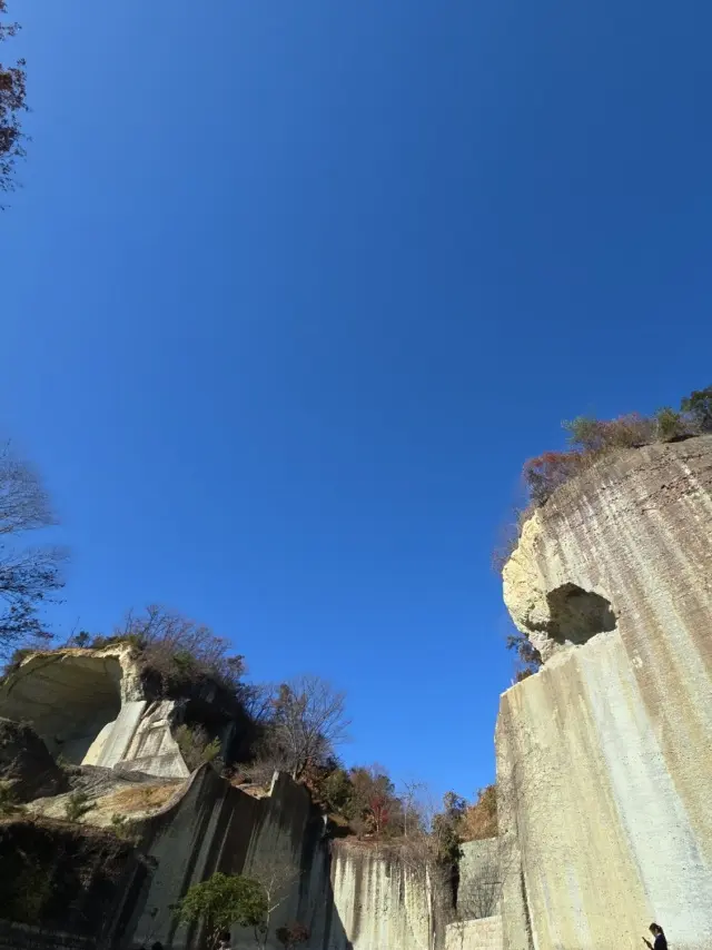 晩秋の日光・宇都宮旅 後編 餃子と大谷石の画像_7
