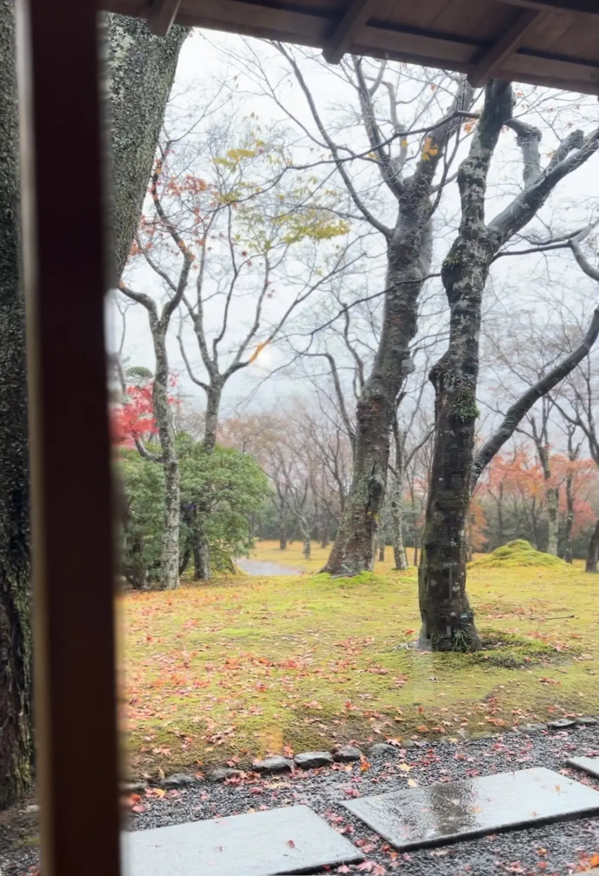ドライブ女子旅♡雨の箱根美術館の画像_19