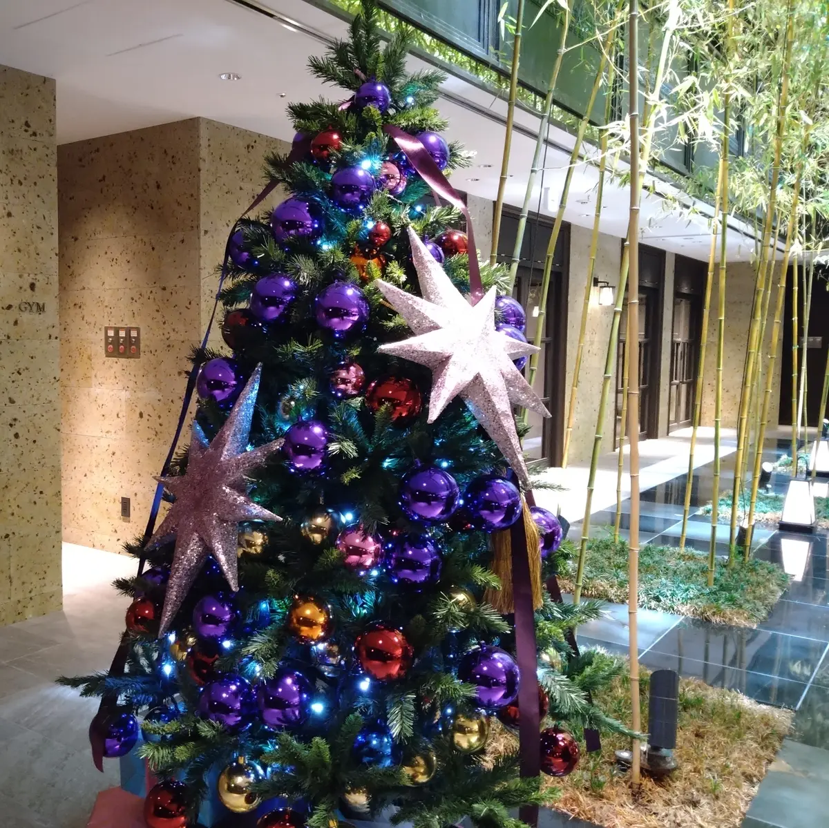 ☆結婚記念日＆クリスマス☆　祇園もりわきの画像_31