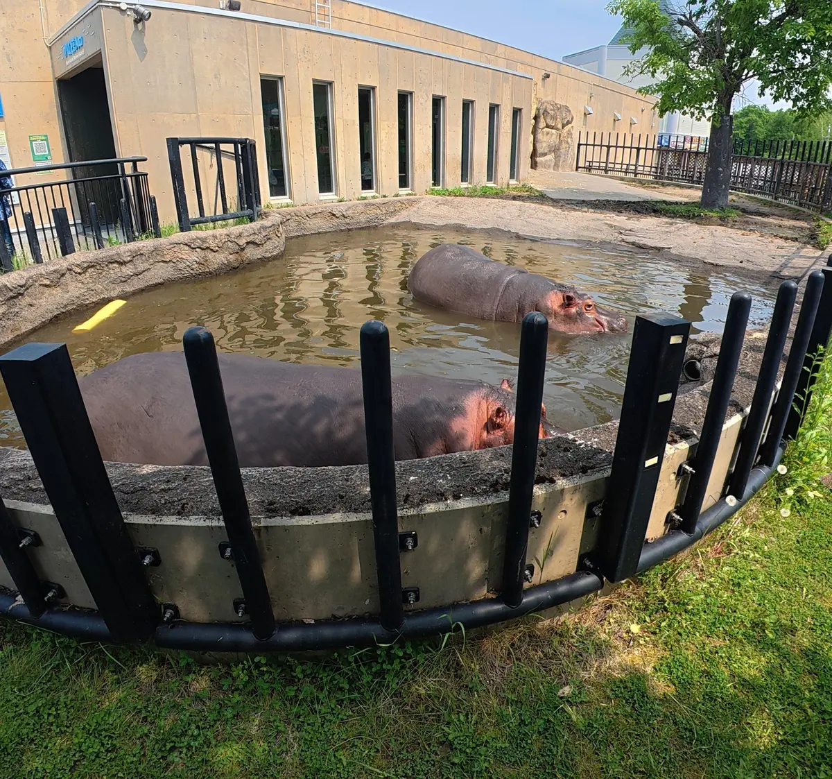 念願だった北海道旭川市「旭山動物園」行っの画像_4