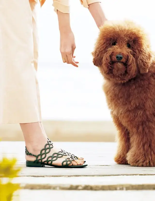 プレイフルなモチーフ