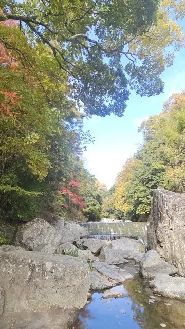 UNIQLO感謝祭戦利品とお気に入りスニの画像_3