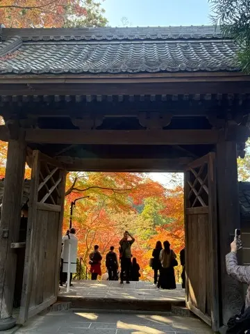 想像以上の絶景に出会えた神奈川の紅葉の見の画像_2