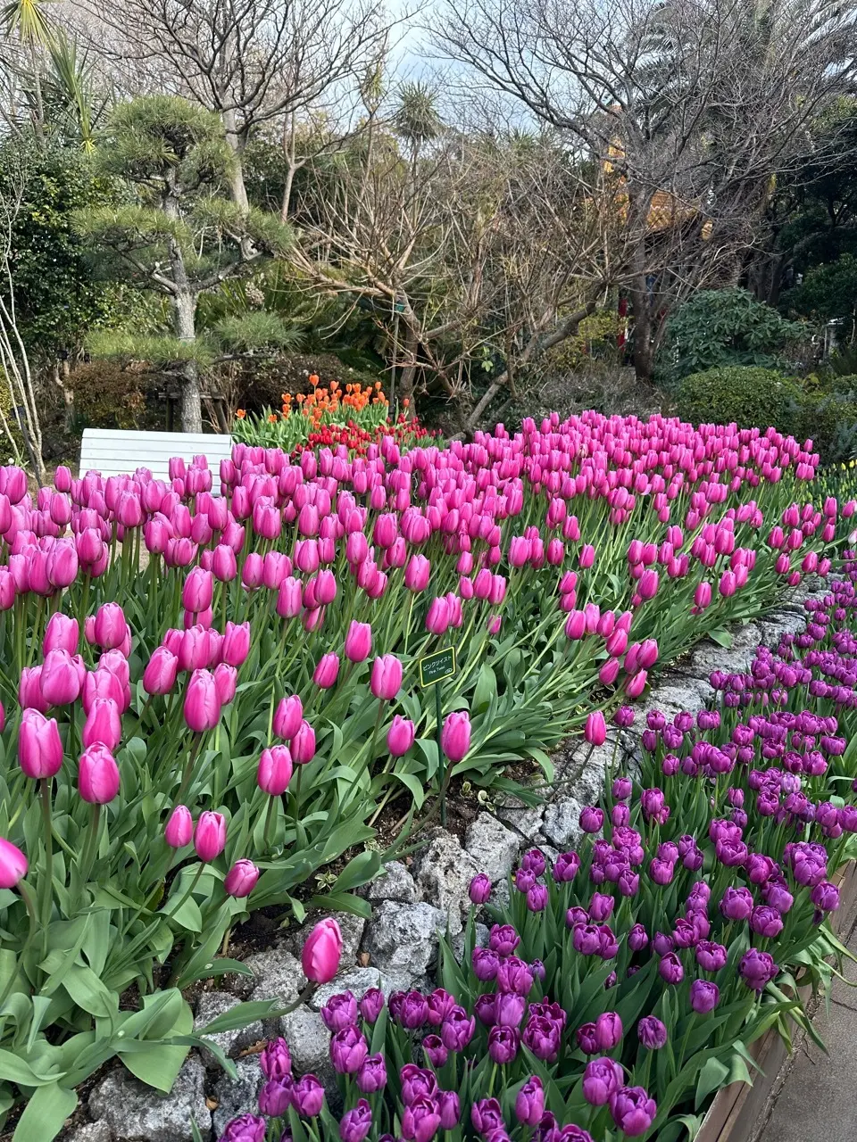 Jマダム同期のメンバーと江の島1day の画像_9