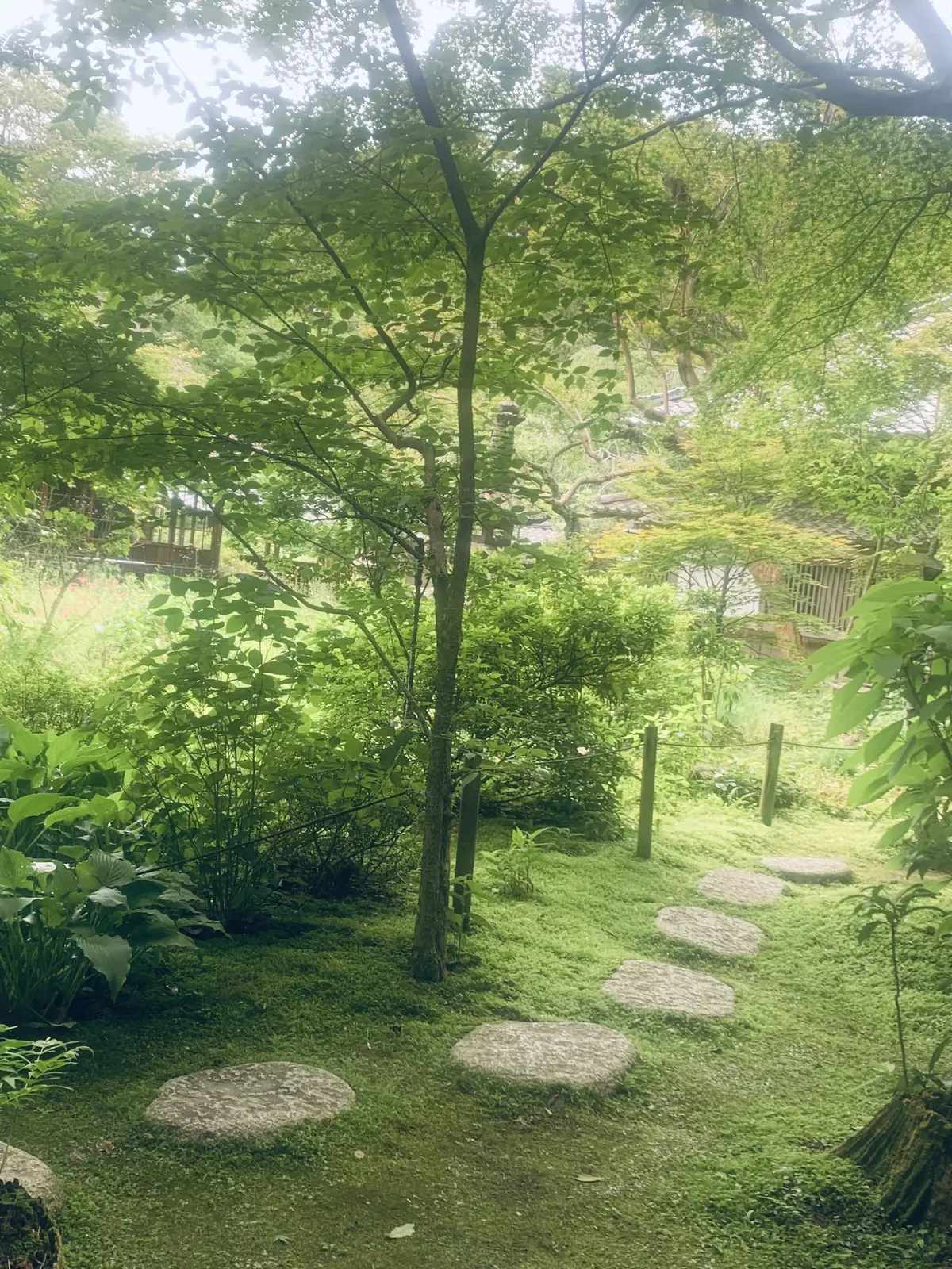 浄智寺の緑深い境内