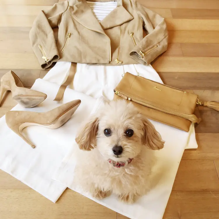 パンツはハイウエストな気分♪の画像_5