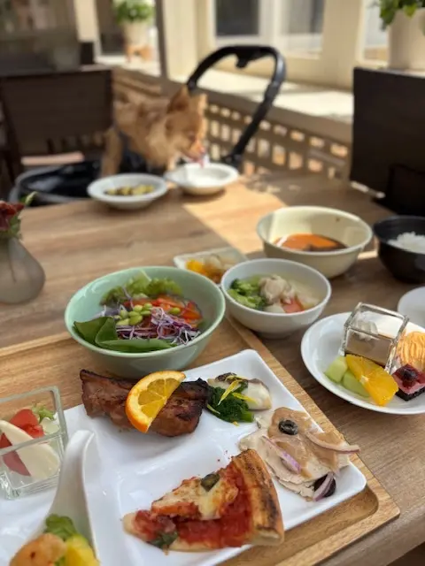 春のおでかけは、お気に入りのGUのワイドの画像_4