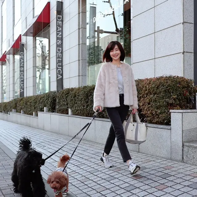 エコファー　犬　トイプードル　お散歩