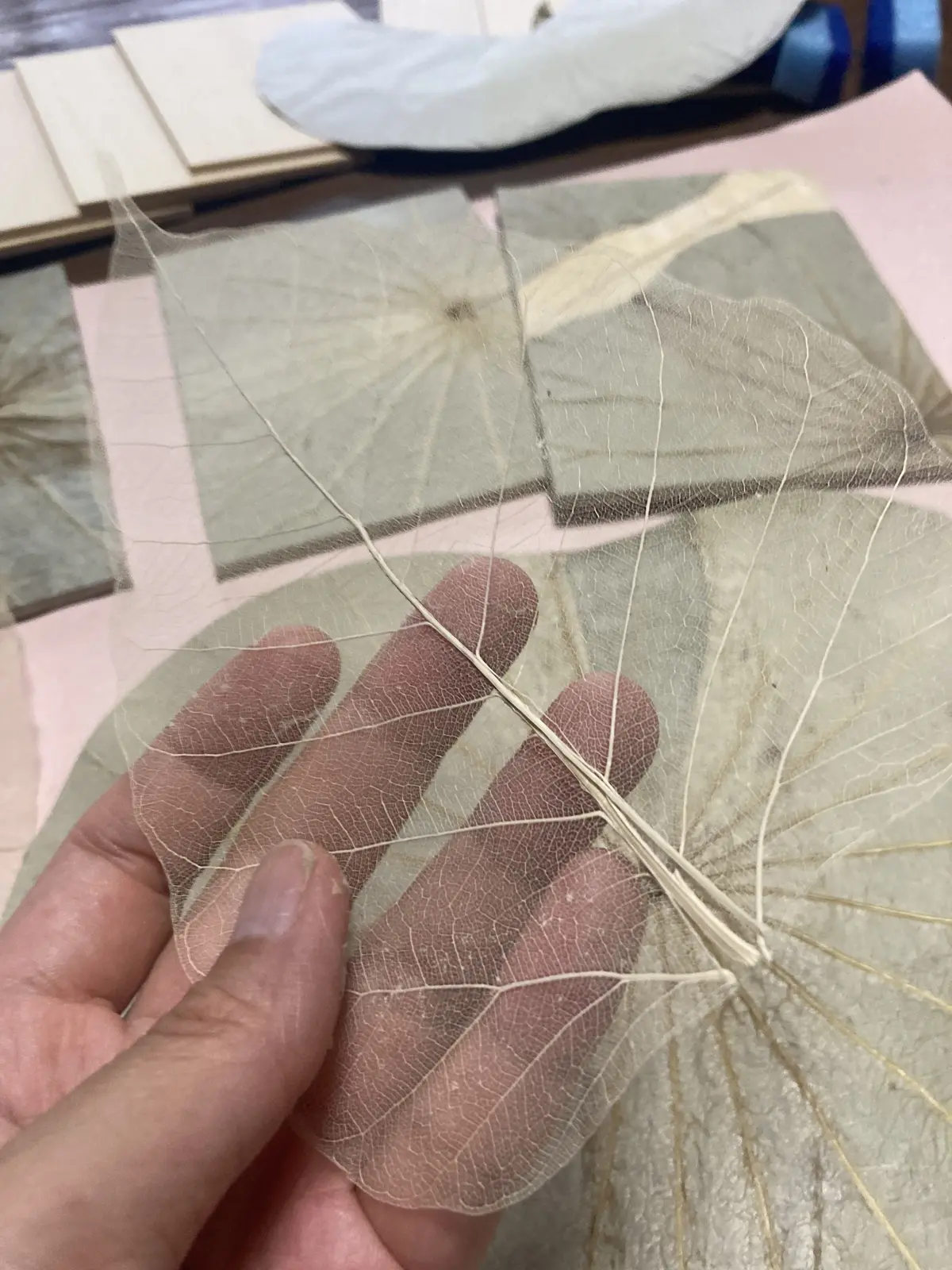 京都同時代ギャラリーで作家デビューしましの画像_2