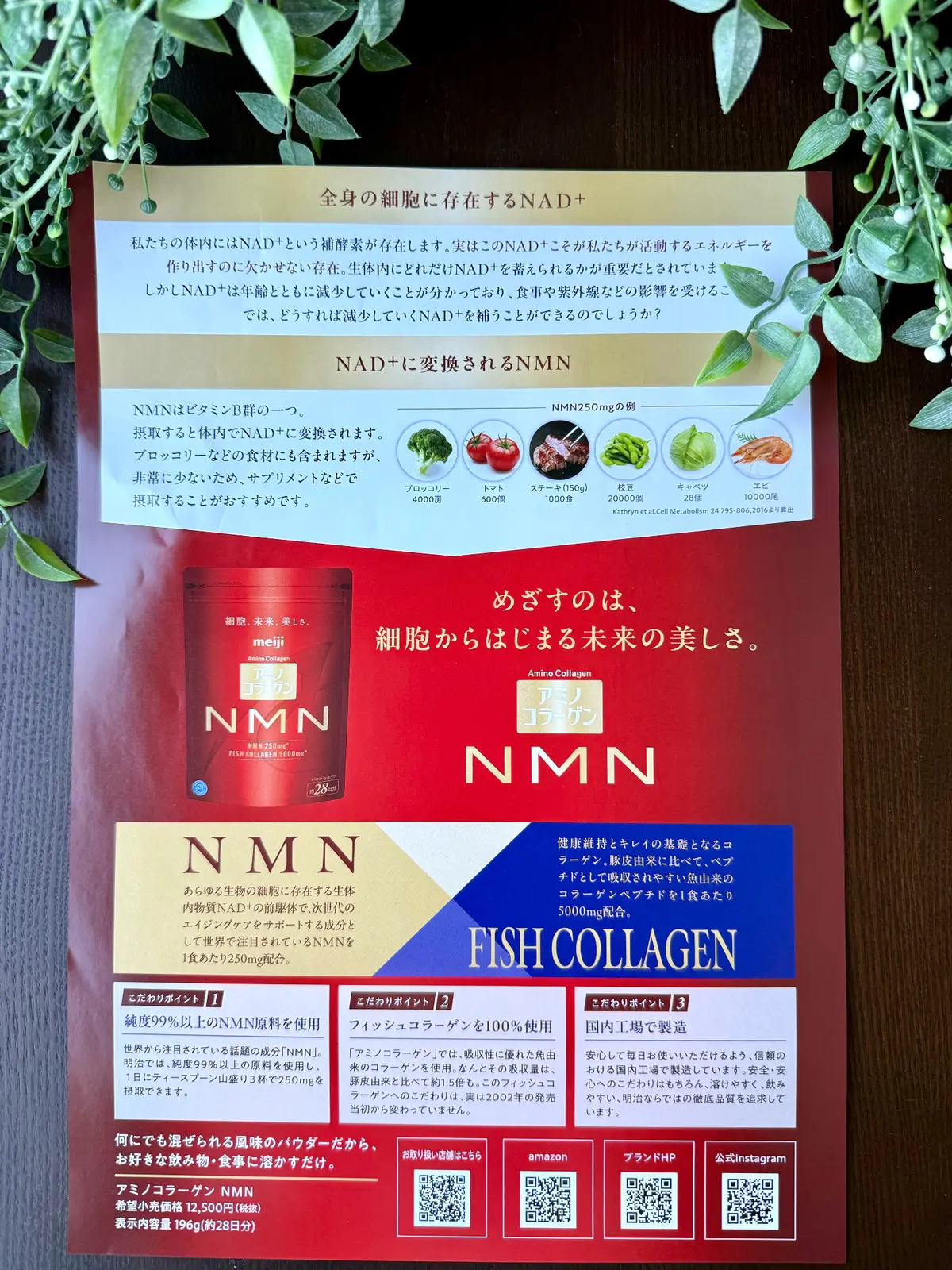 ソワレ・ドゥ・エクラ 　ザ・ストリングス表参道　お土産　　アミノコラーゲンNMN アミコラ　アミノコラーゲン