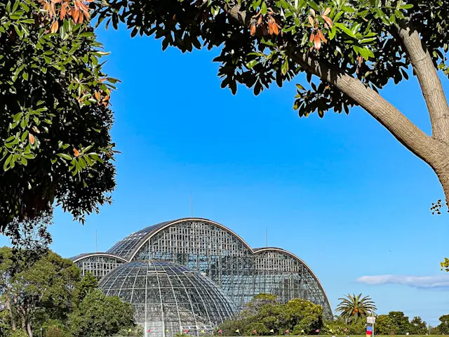 【Happy Halloween🎃】さかの画像_3