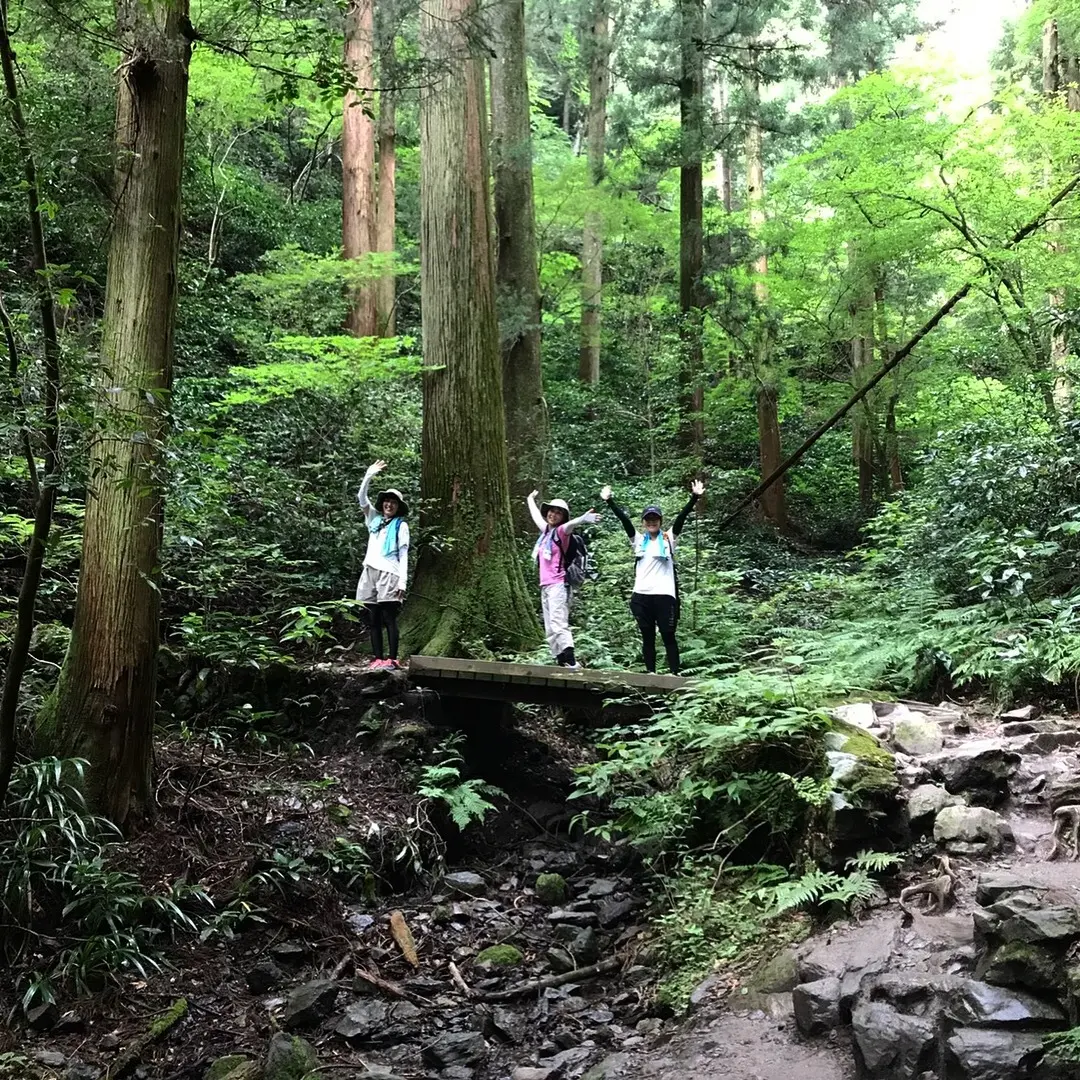 新たな趣味の画像_2