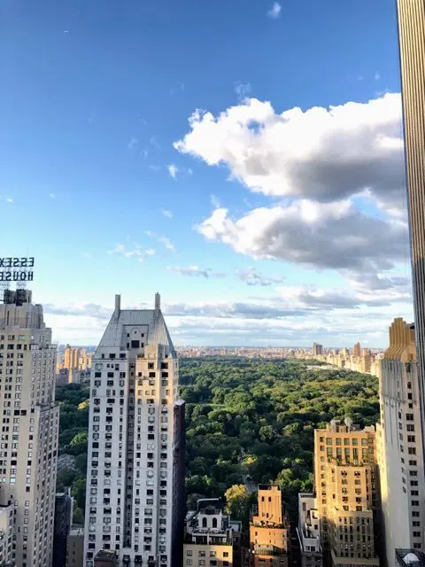 ニューヨークのホテルの部屋から見たセントラルパークの写真