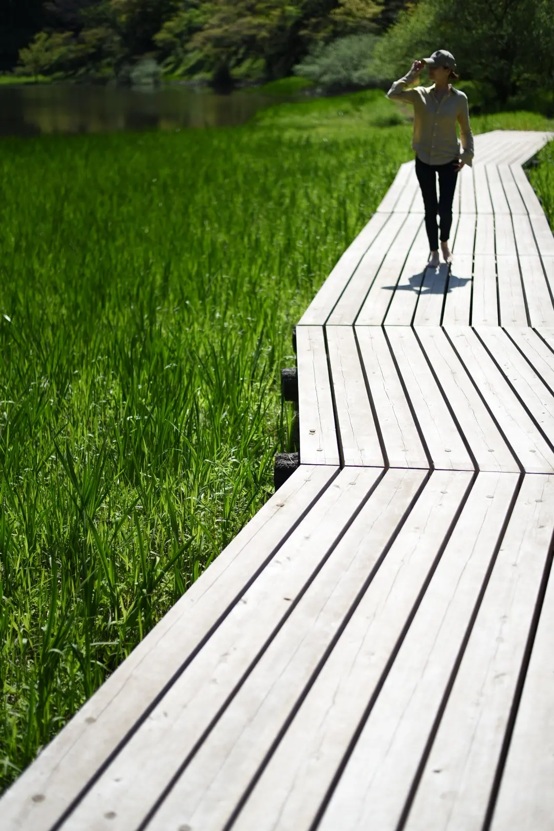 新緑の箱根でマイナスイオンチャージの画像_3