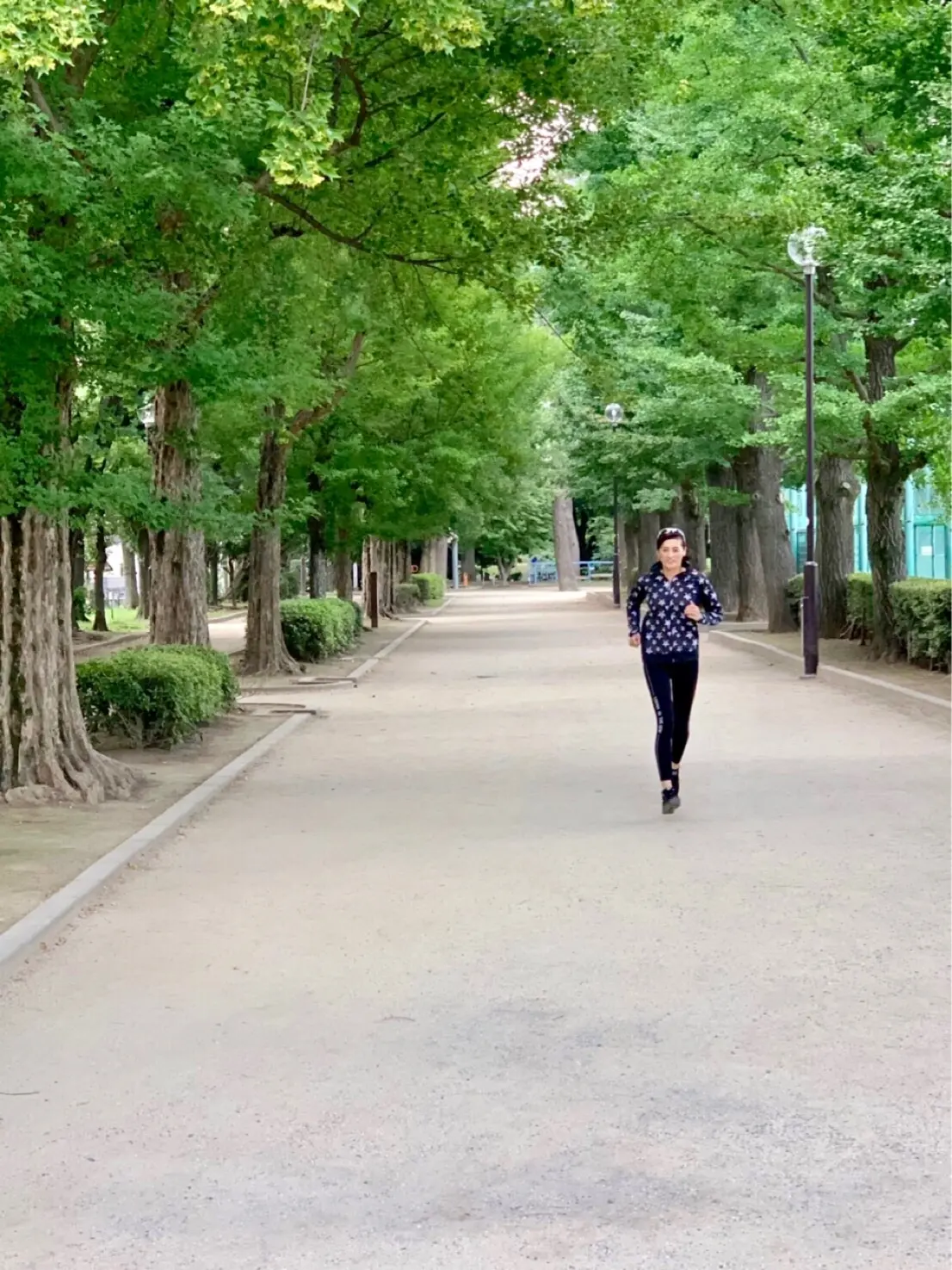 10月号付録、万能ガーメントケースの画像_3