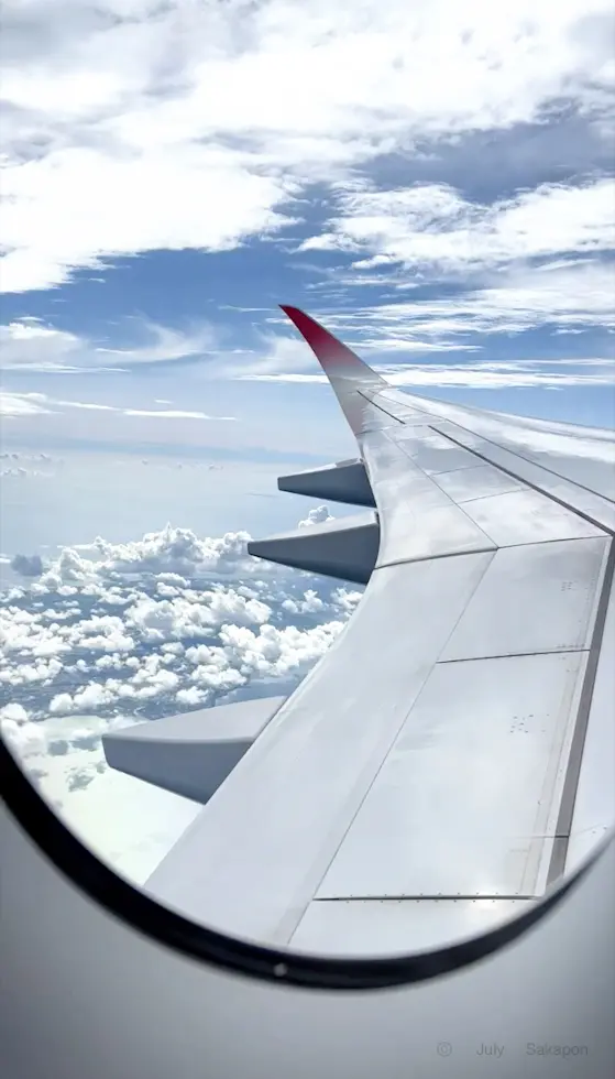 【さかぽんの冒険】旅する帽子☆沖縄トリッの画像_15