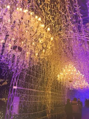 関東三大イルミネーション「湘南の宝石」@の画像_10