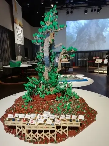 屋久島　縄文杉