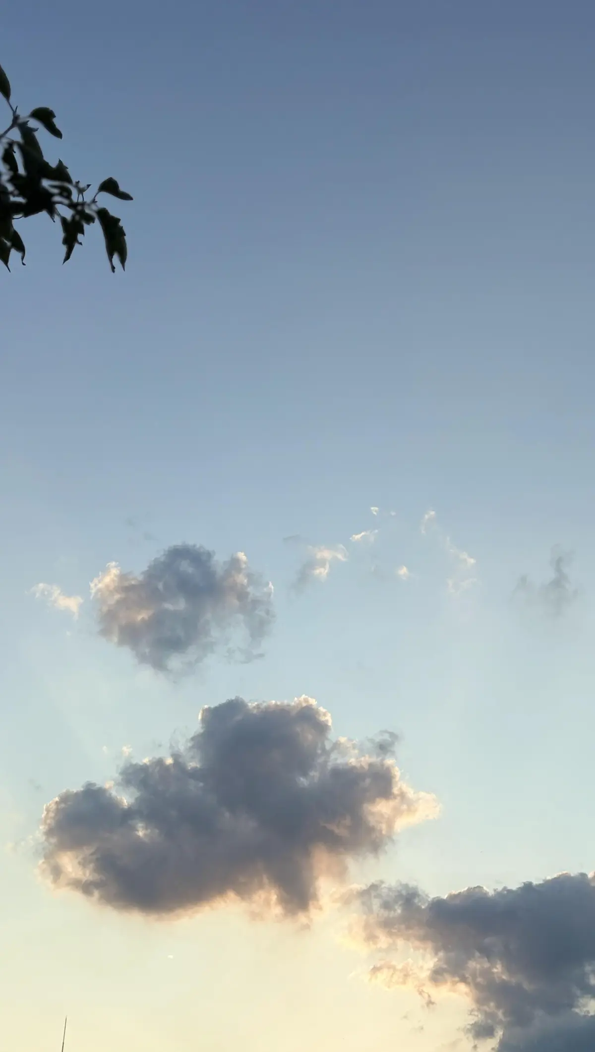 夏の夕焼け　夕焼けがキレイ　夕焼け