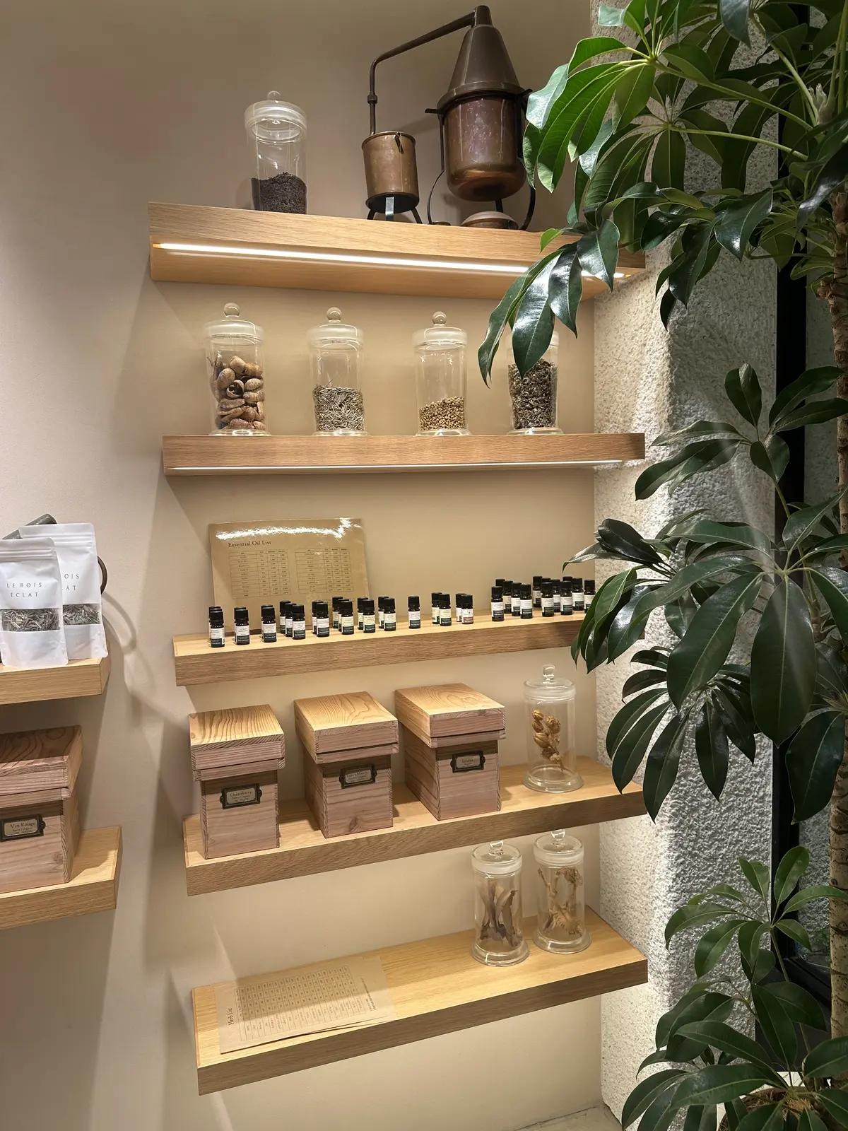 LE BOIS ÉCLAT（ルボア エクの画像_3