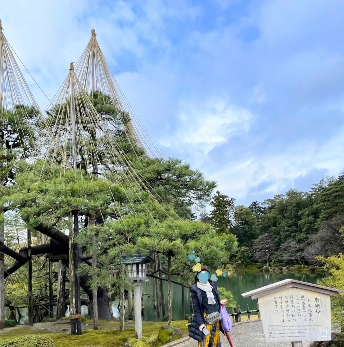 日本三名園　兼六園　雪吊り