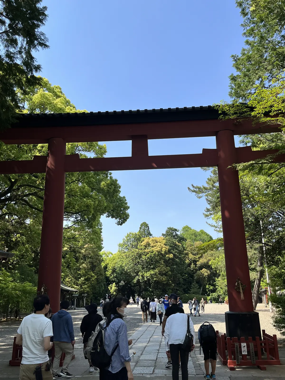 チキンを食べにの画像_9