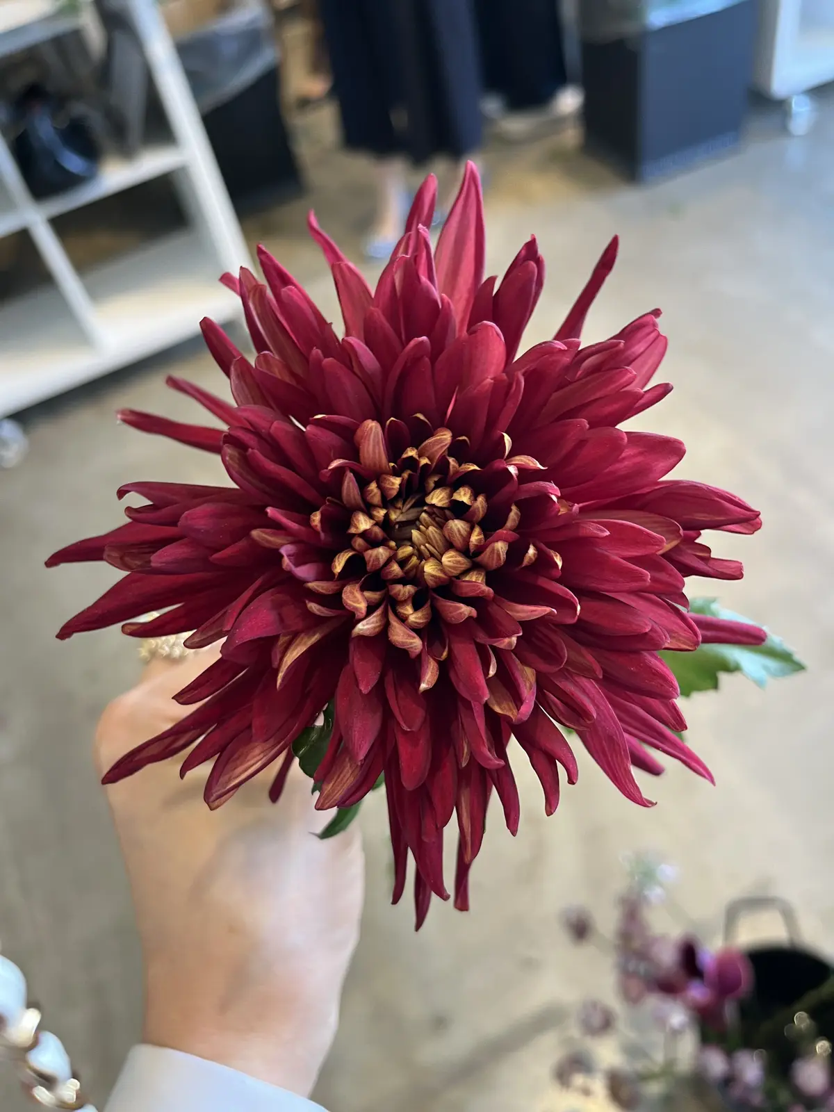 初のニコライ先生のレッスンへの画像_5