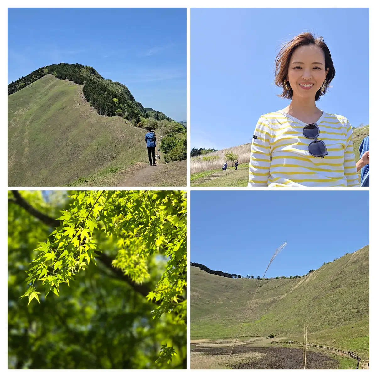 新緑のご褒美時間　家族でめぐる曽爾高原プの画像_7
