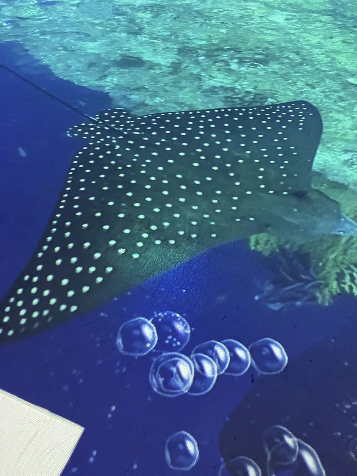 平日の原宿へ②の画像_10