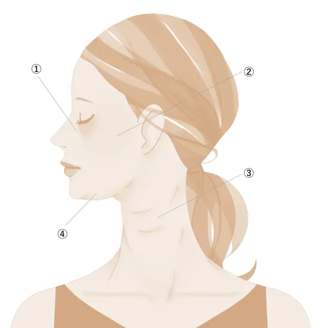 「あなたの胸鎖乳突筋、埋もれていませんか？」