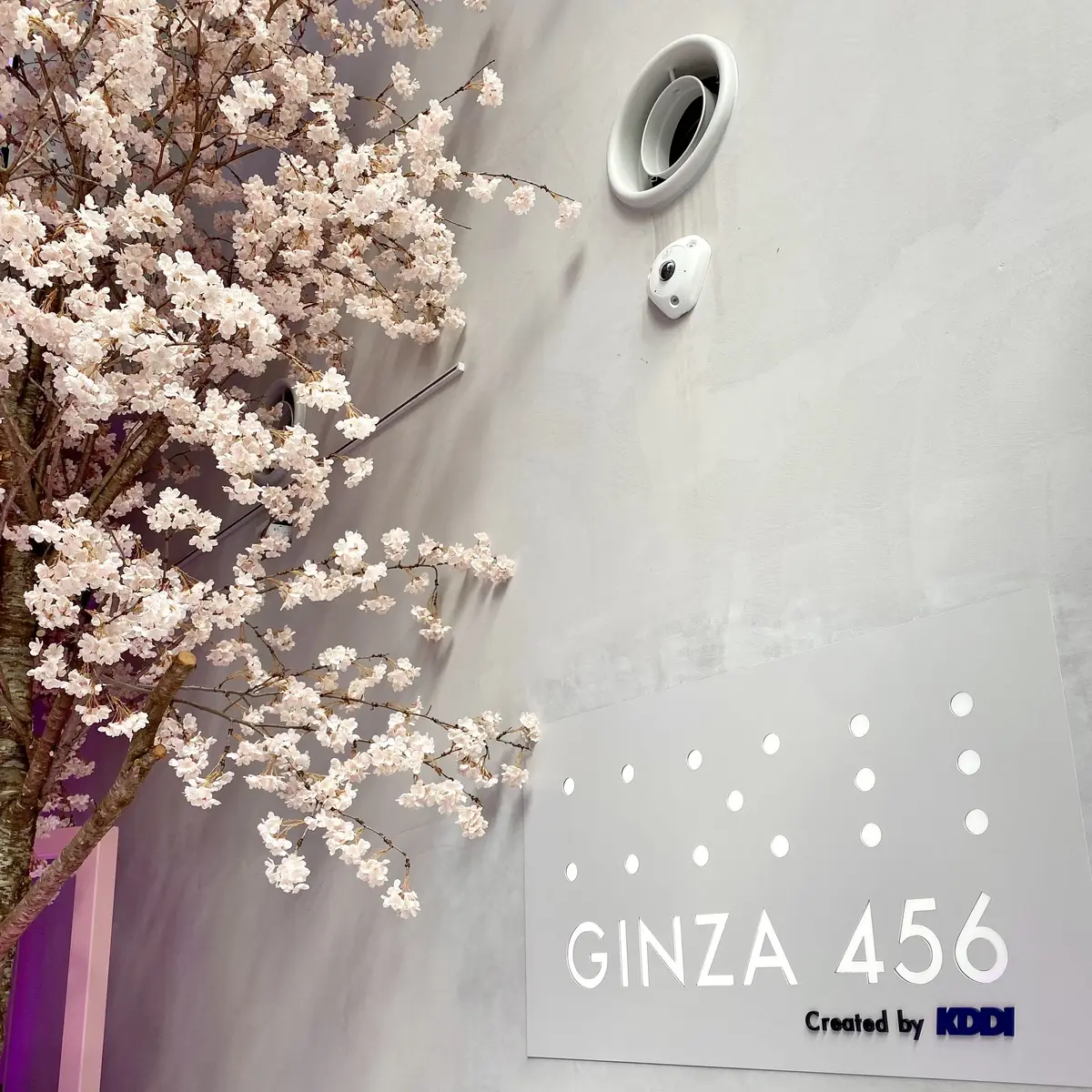銀座456でデジタル桜のイベント開催中
