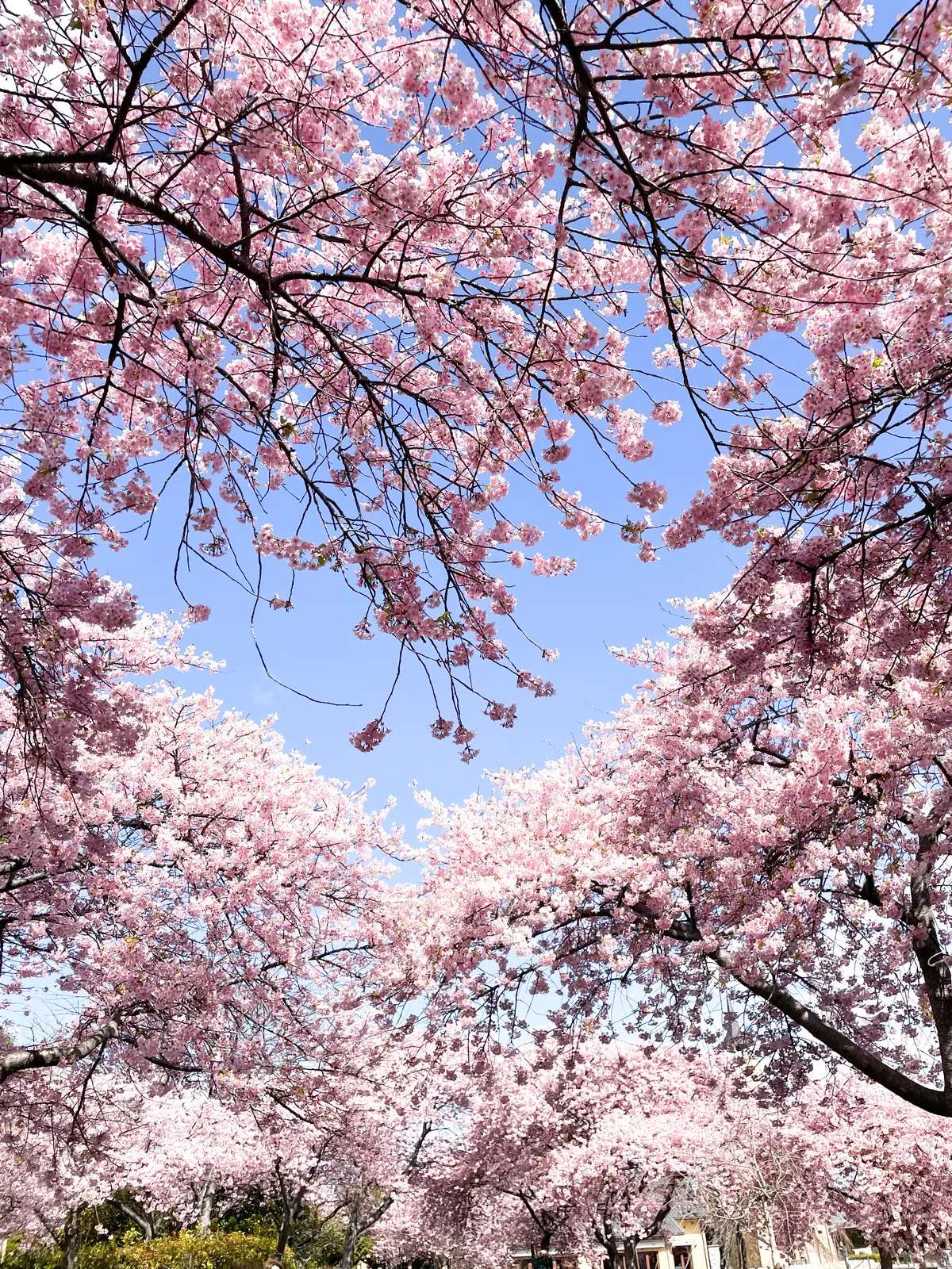 名古屋にNEW OPENのホテルは白のツの画像_3