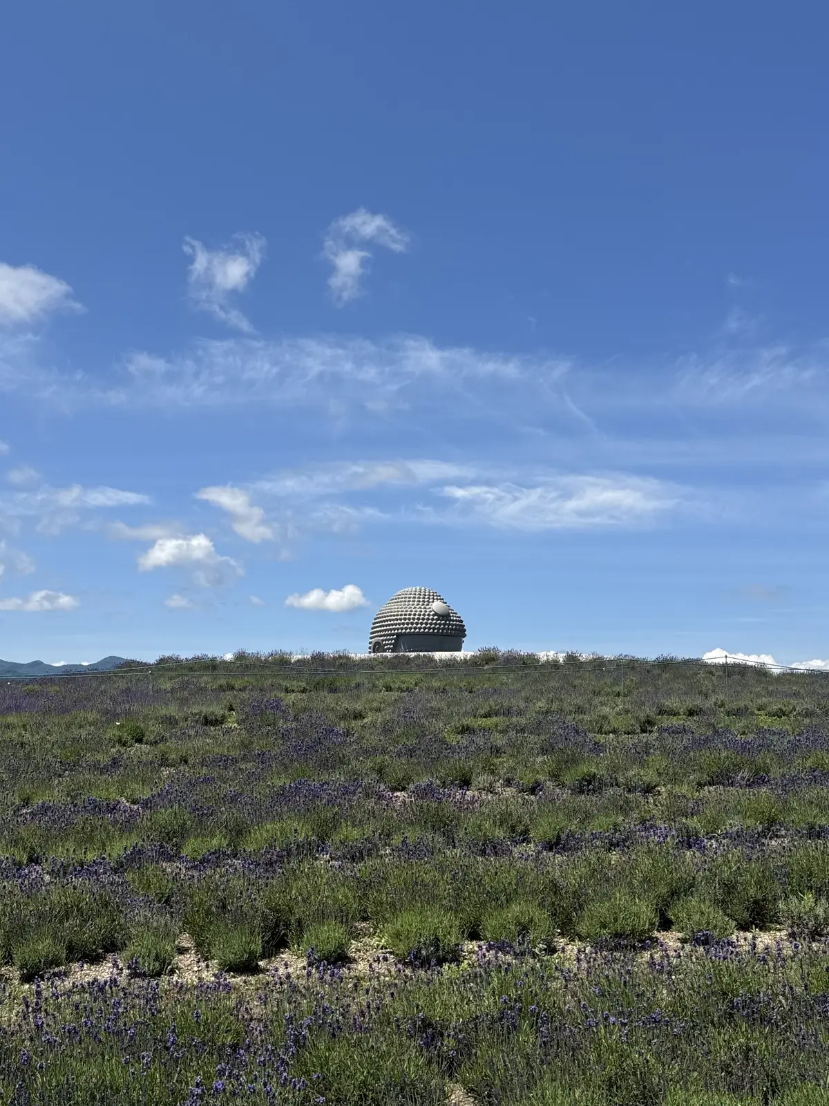 札幌で出会った建築美。真駒内滝野霊園『頭の画像_3
