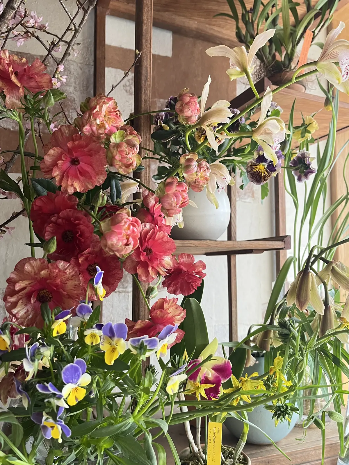 花屋で写真館の画像_4