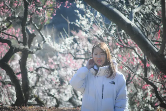 【さかぽんの冒険】桜の都物語③新宿御苑の画像_10