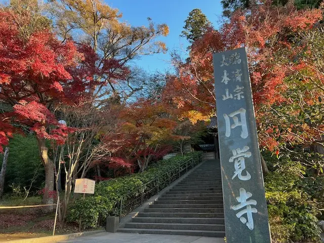 円覚寺　北鎌倉　鎌倉　紅葉　紅葉狩り