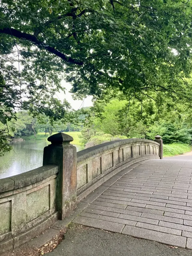 明治神宮太鼓橋。　この橋から下を覗くとたくさんの亀が見られます。