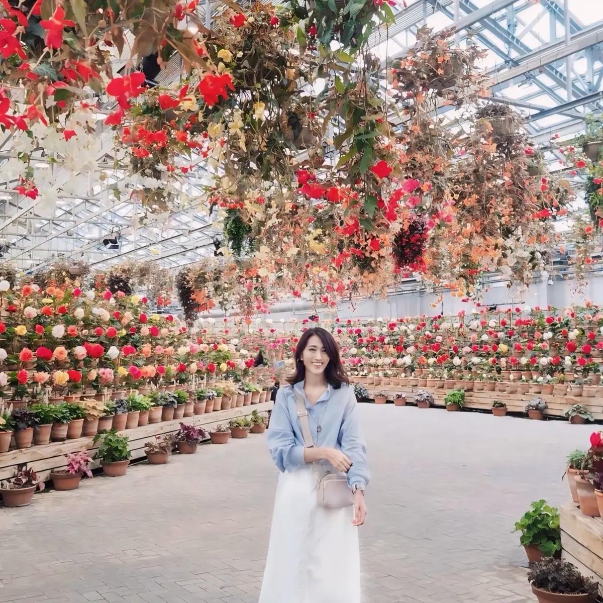 「なばなの里」入場券を購入すると、ベゴニアガーデンの５００円割引券をもらえます。