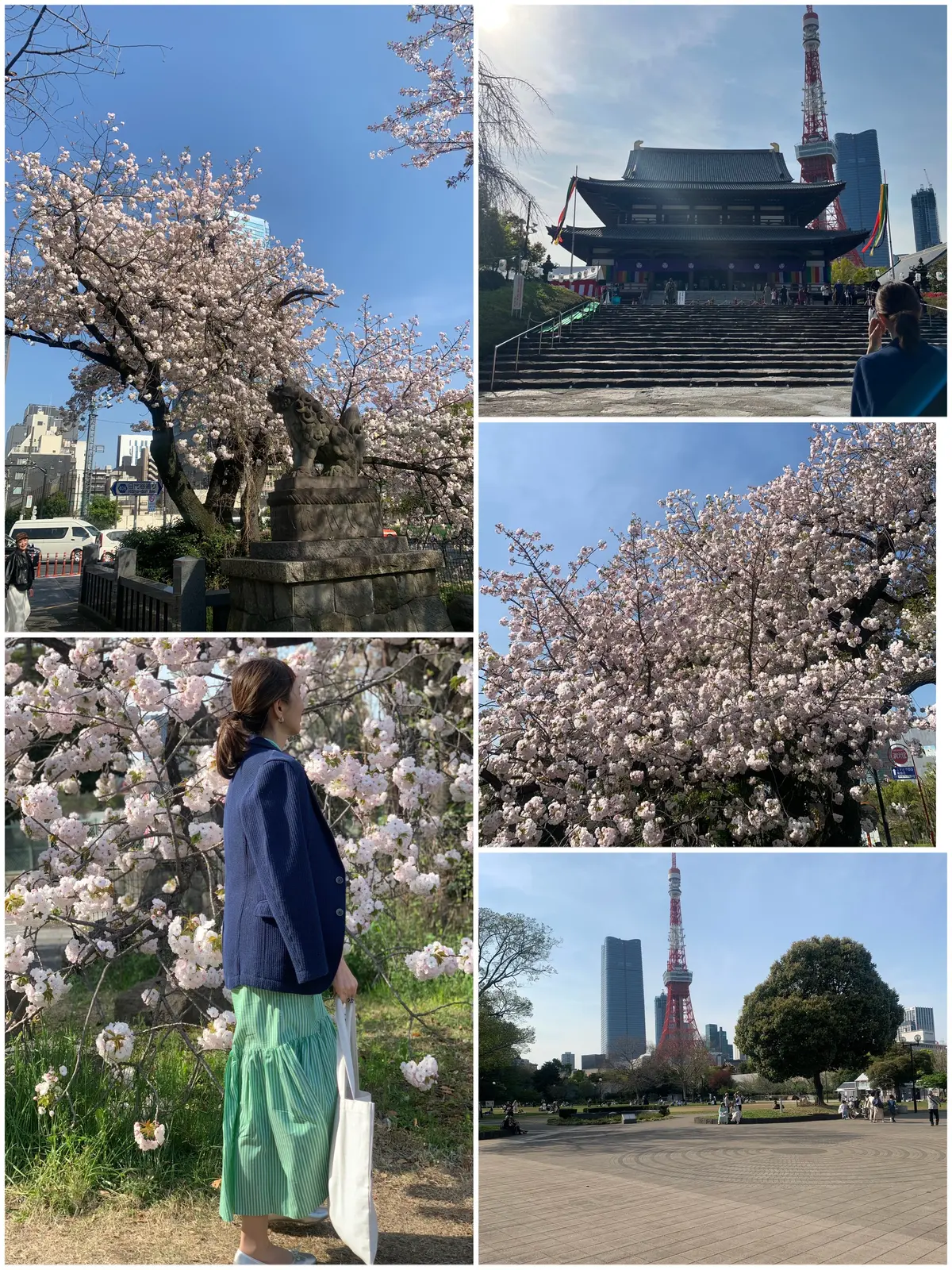 褒められ春ジャケットと爽やかストライプの画像_5