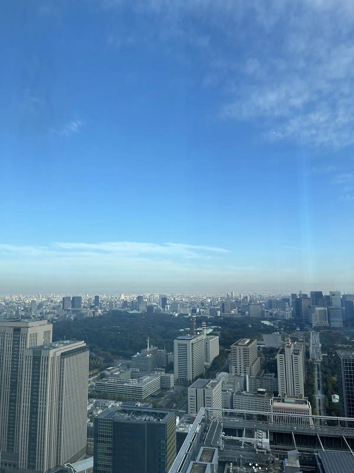 チルデンニットで朝活@アンダーズ東京の画像_10