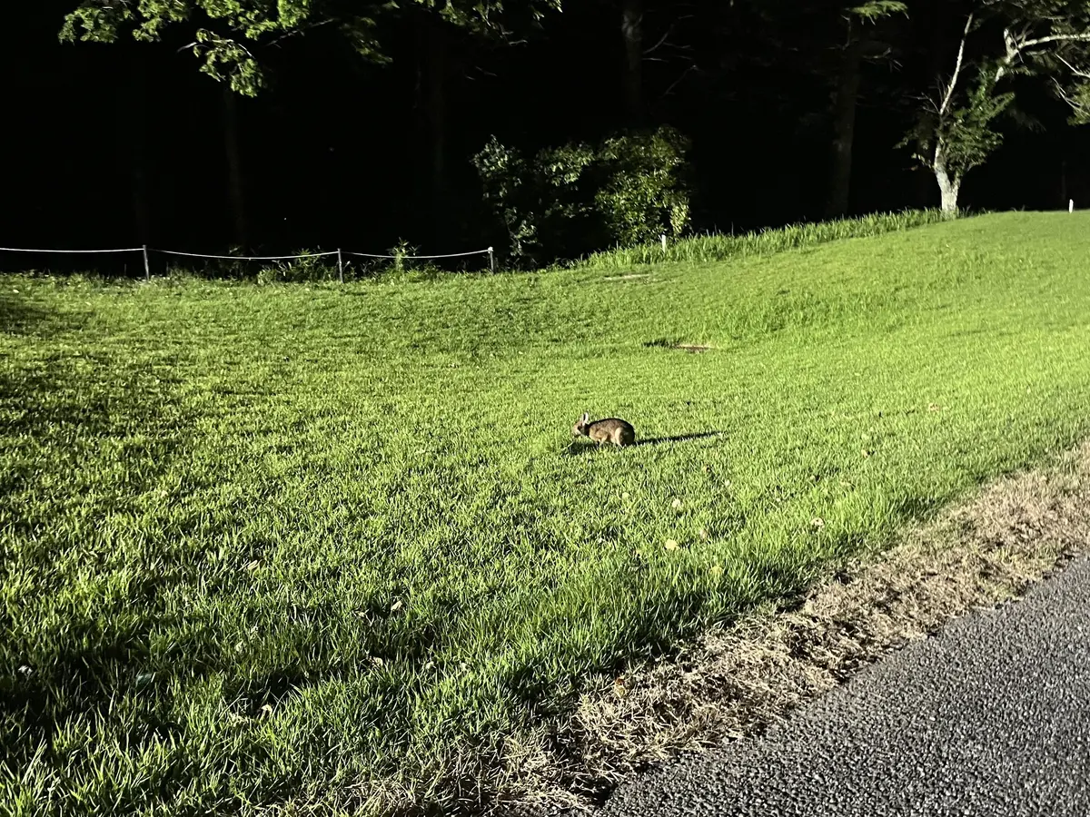 【千葉】高滝でトロッコに乗って、ナイターの画像_7