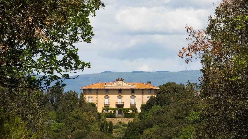 地元愛と誇りを感じる“貴族のワイン”は の画像_3