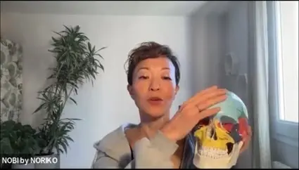 OurAge×Webエクラ　骨格標本を手で触っている部分が前頭骨（ぜんとうこつ）