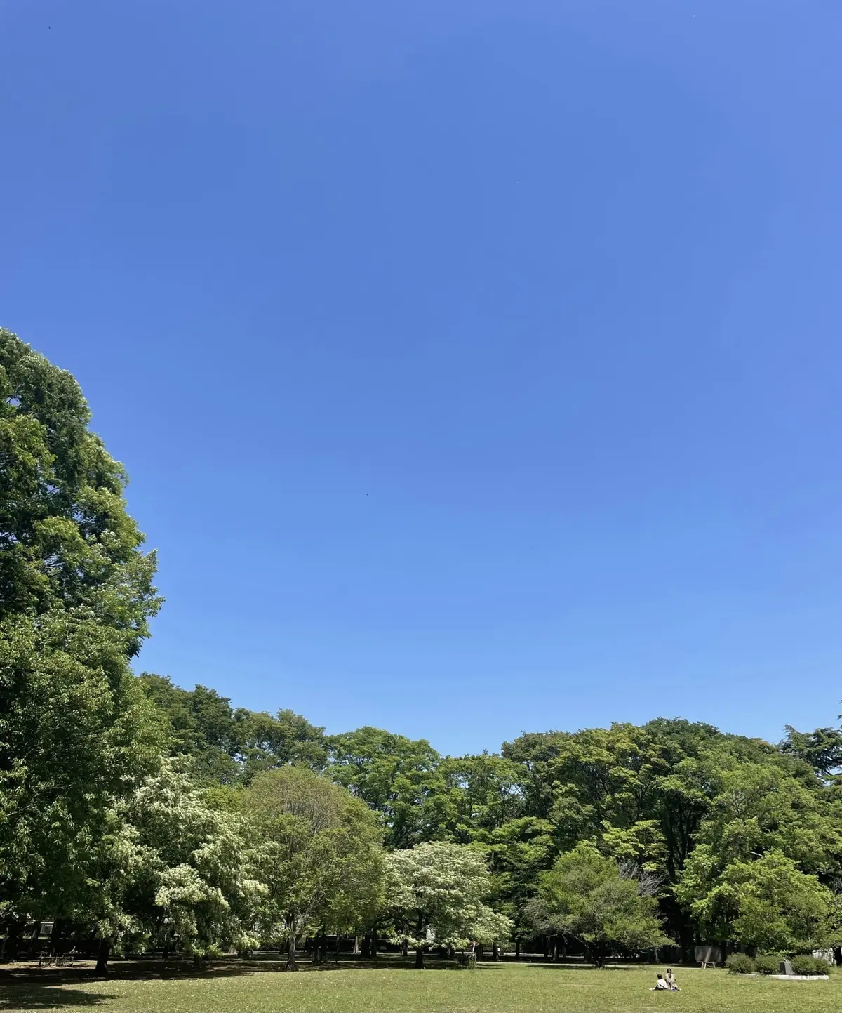 砧公園その①