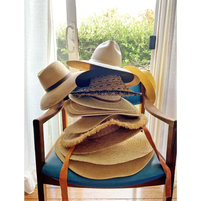 大きい帽子：ブレンダ