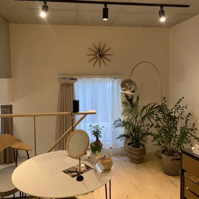 ルーニープラス内装