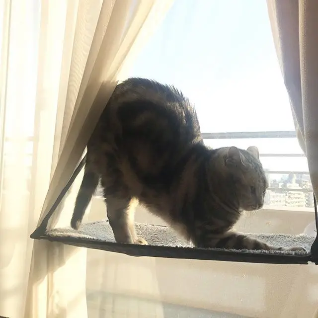 アランの健康法は？の画像_2