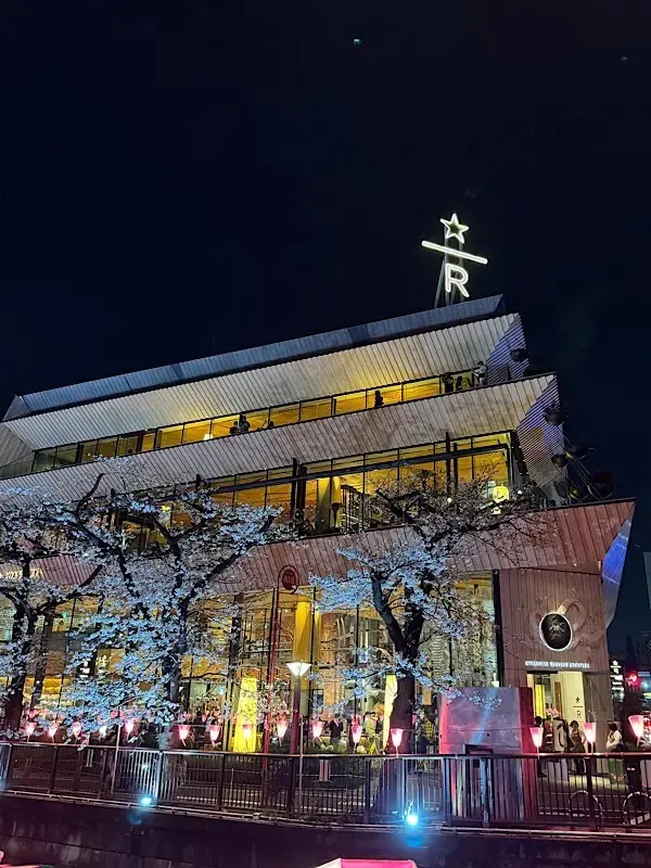 目黒川ライトアップ２