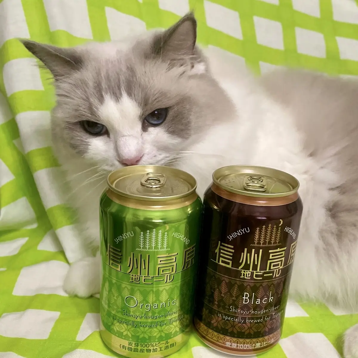 信州への画像_3