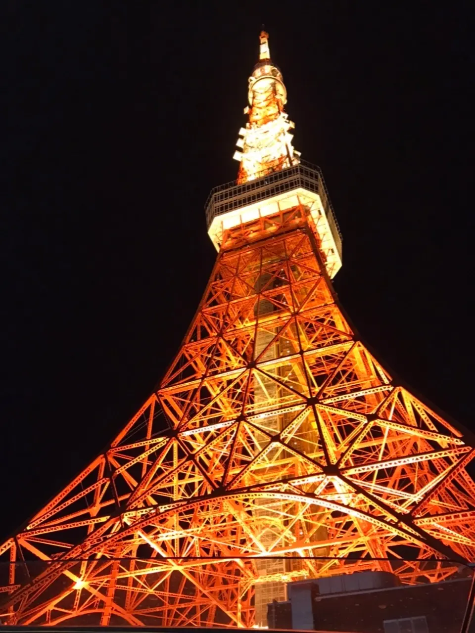 〈＋Ｊ〉のダウンを着て、2階建てオープンの画像_3